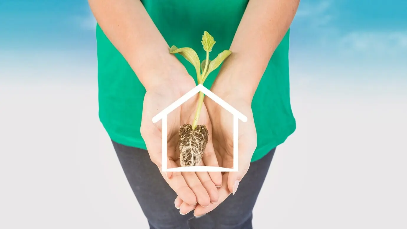 Hands of a female holding a plant