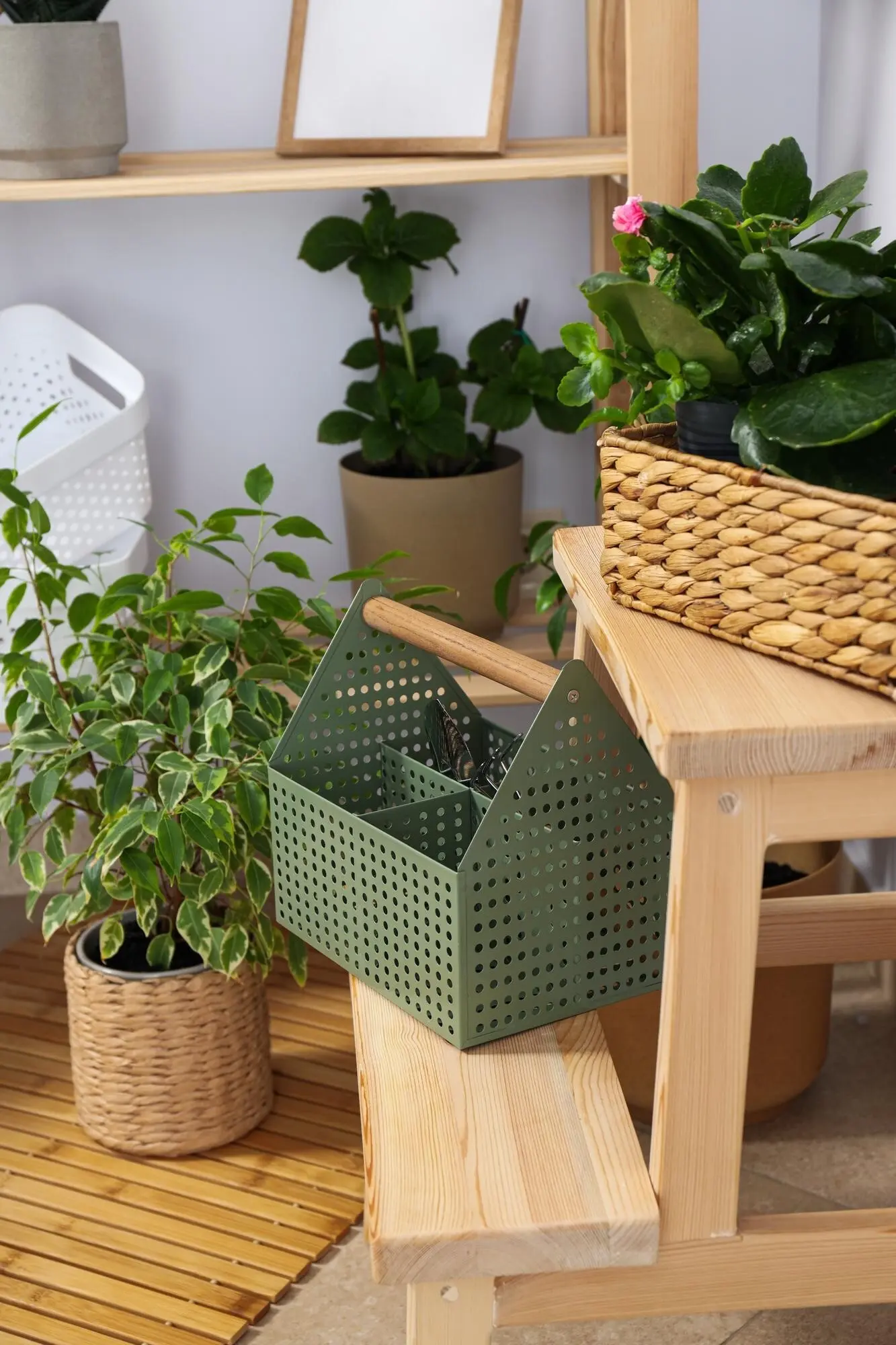 A cozy hobby: growing indoor plants at home.